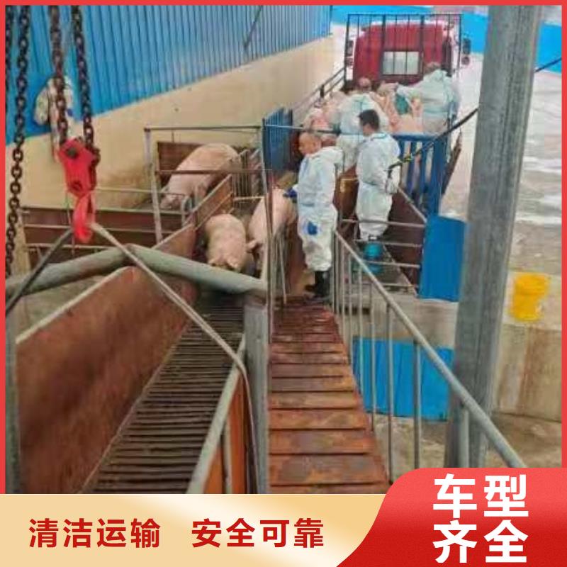 涟水到山西物流专线货运公司