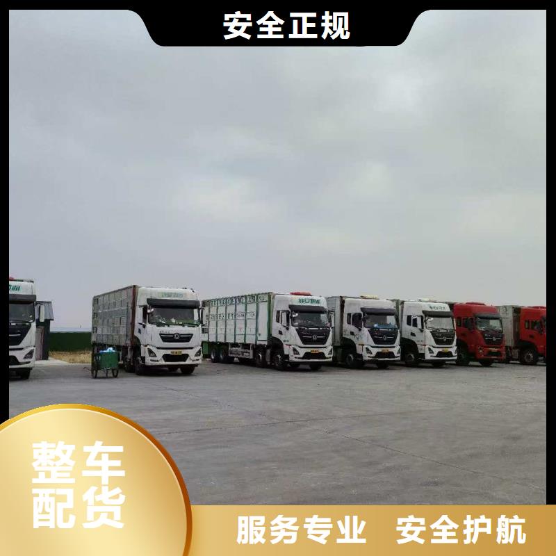 日照到廊坊物流专线货运公司