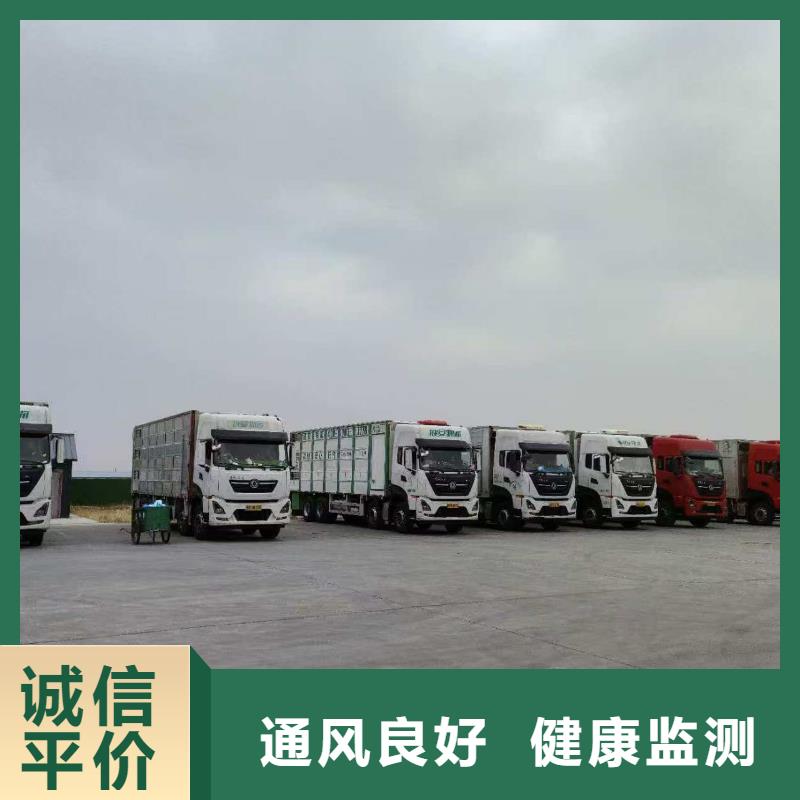 周口到秦皇岛物流专线货运公司