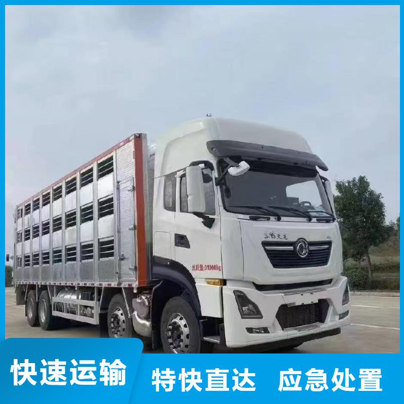 周口到淮北物流专线货运公司