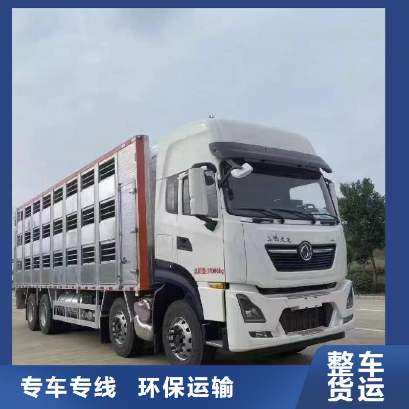 濮阳到新余物流专线货运公司