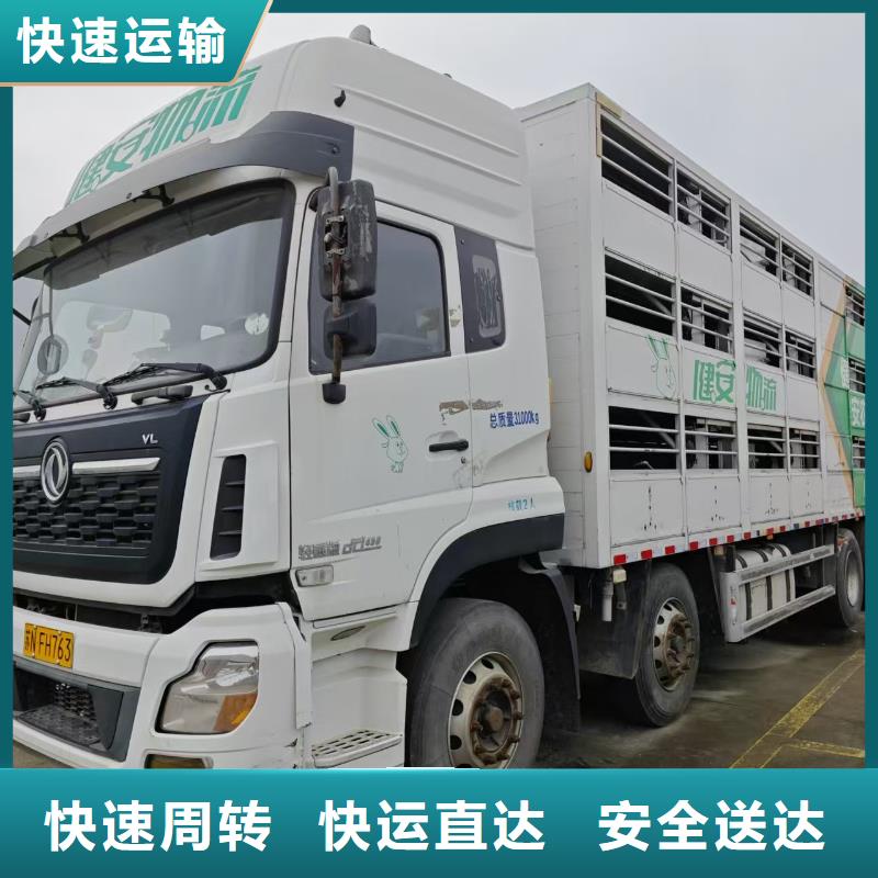 周口到广西物流专线货运公司