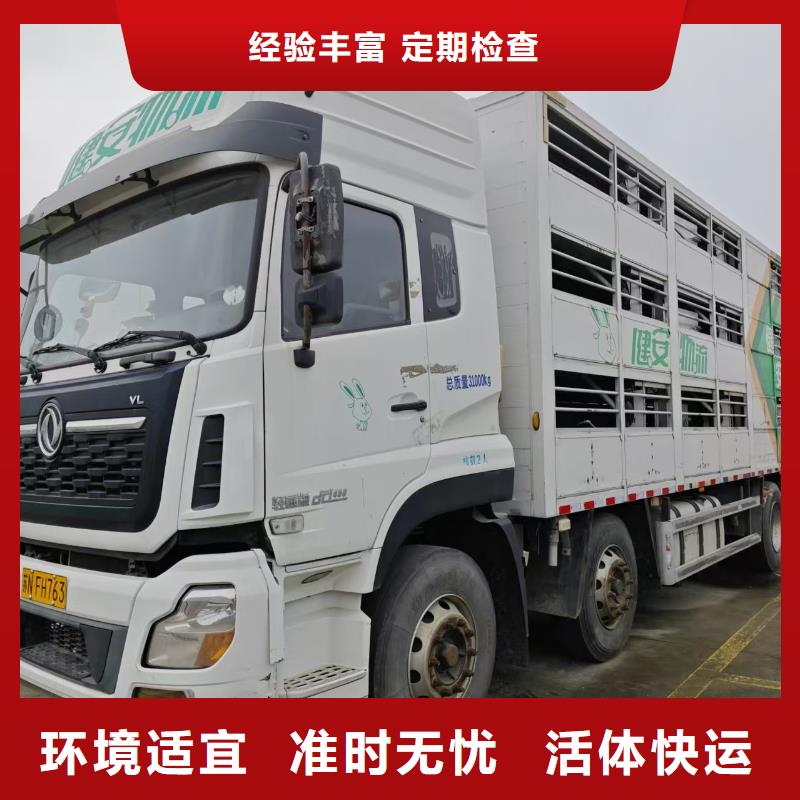 濮阳到菏泽物流专线货运公司