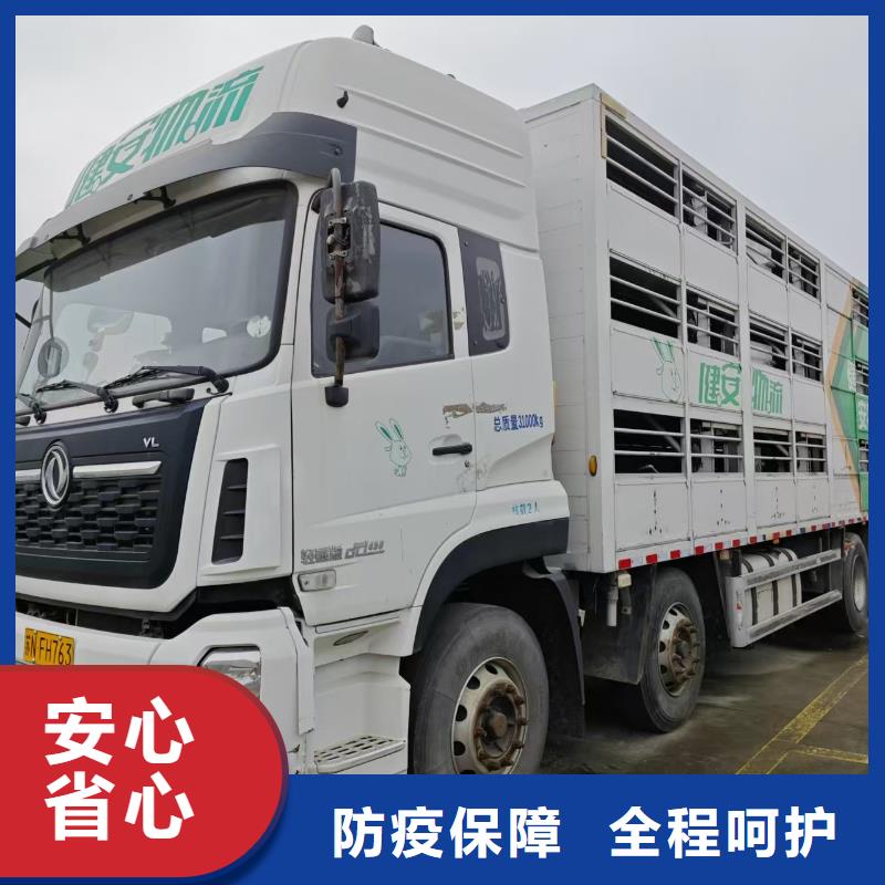 固镇到常德物流专线货运公司