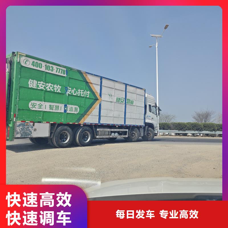 淮北到商丘物流专线货运公司