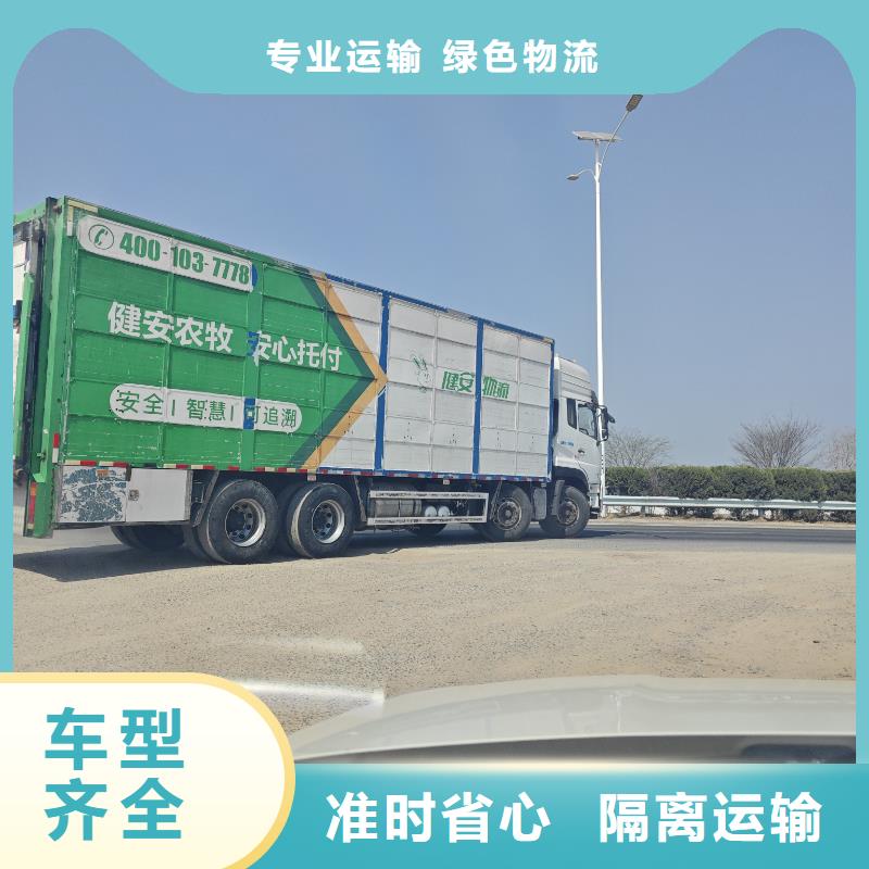 周口到云南物流专线货运公司