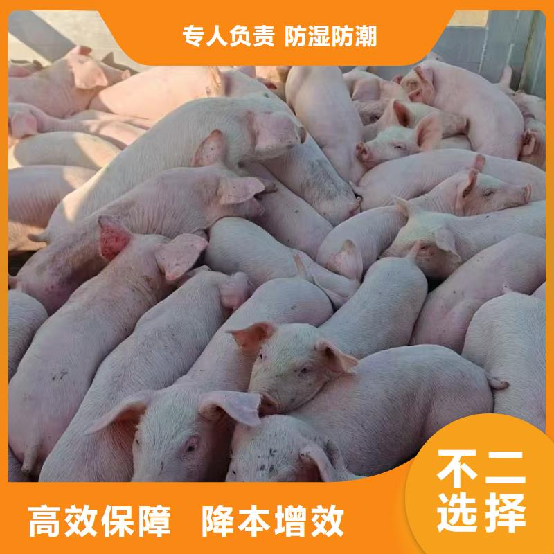 淮北到铜川物流专线货运公司