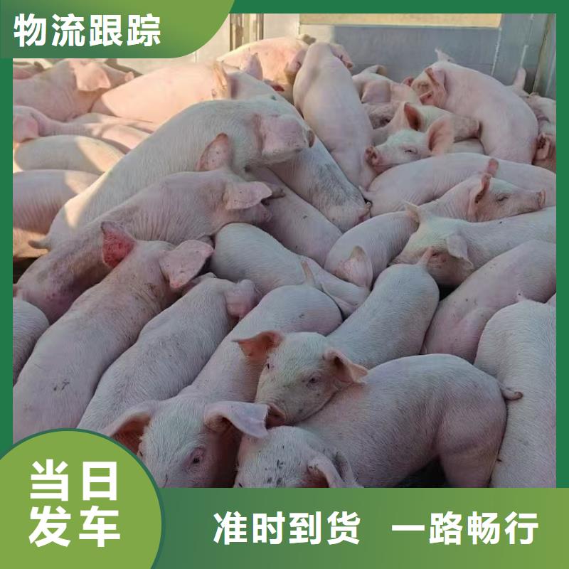 日照到铜仁物流专线货运公司