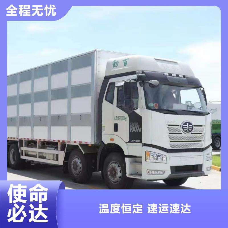 周口到广东物流专线货运公司