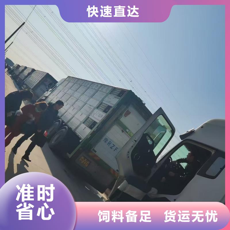 周口到铜川物流专线货运公司