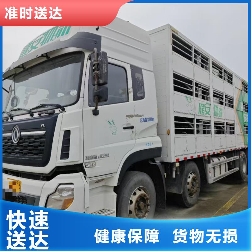 日照到南平物流专线货运公司