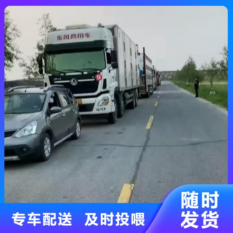 濮阳到北京物流专线货运公司