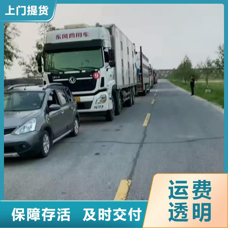 如东到福建物流专线货运公司