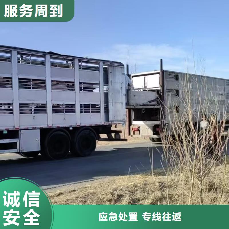 涟水到沧州物流专线货运公司