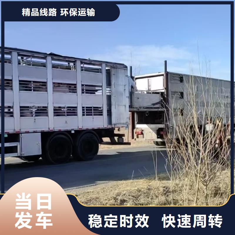 如东到福建物流专线货运公司