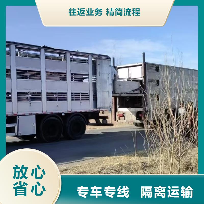 濮阳到韶关物流专线货运公司