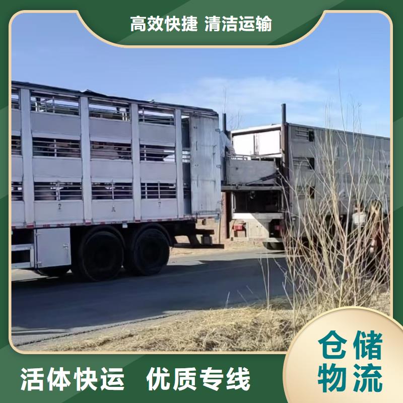 滁州到长沙物流专线货运公司