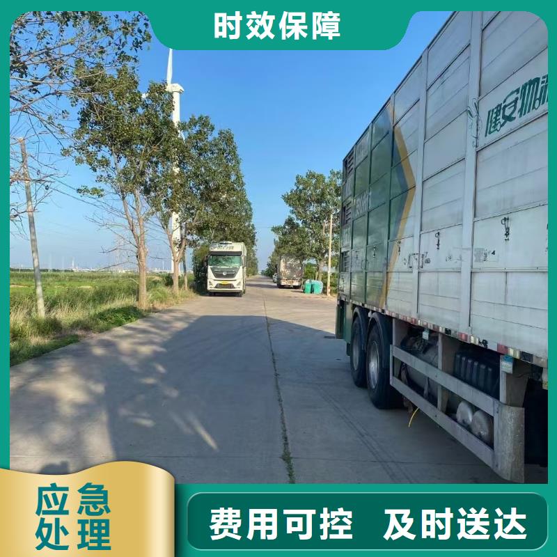 濮阳到吉林物流专线货运公司