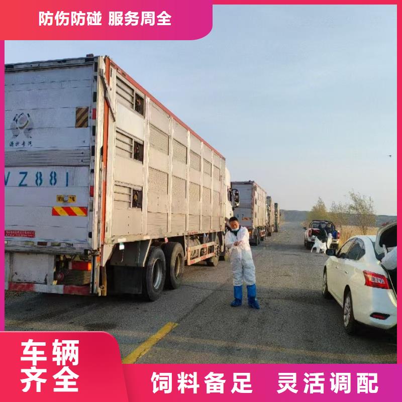 滁州到朔州物流专线货运公司