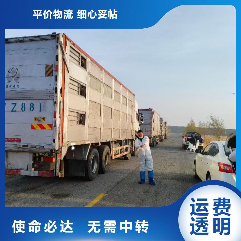 日照到保定物流专线货运公司