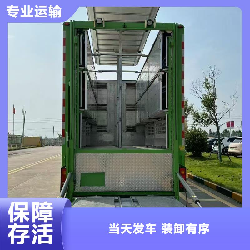 淮北到临沧物流专线货运公司