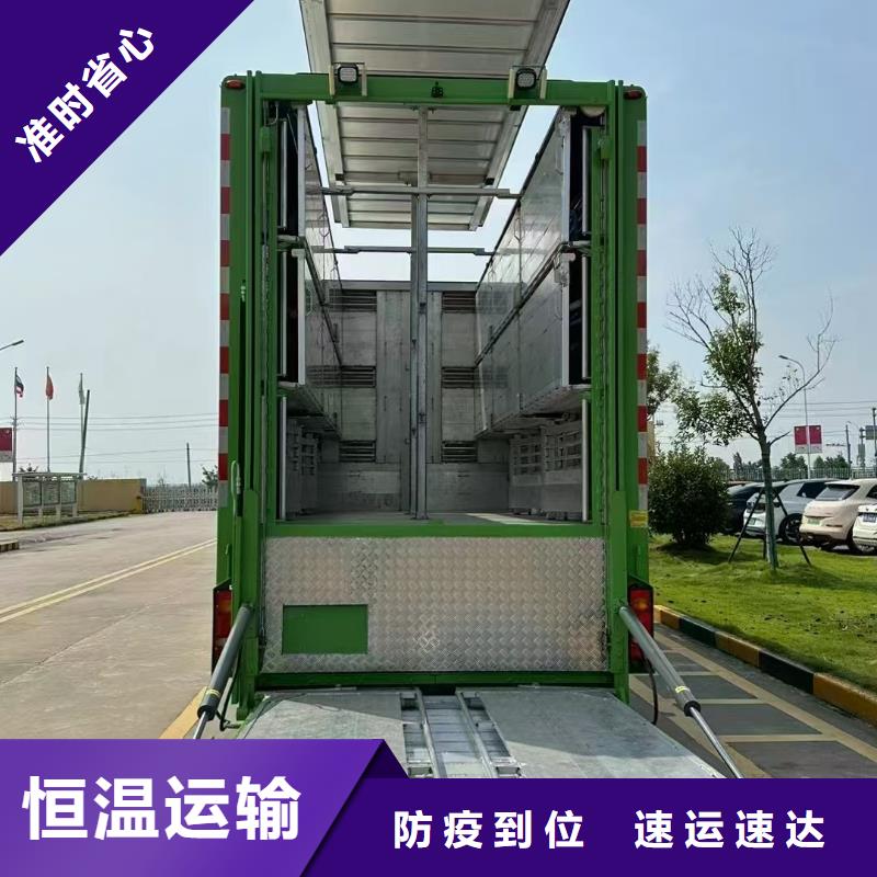 濮阳到驻马店物流专线货运公司