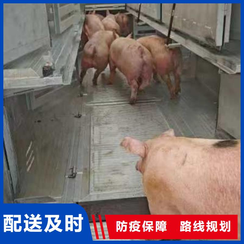 淮北到林芝物流专线货运公司