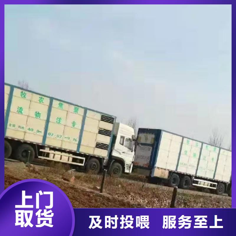 周口到韶关物流专线货运公司