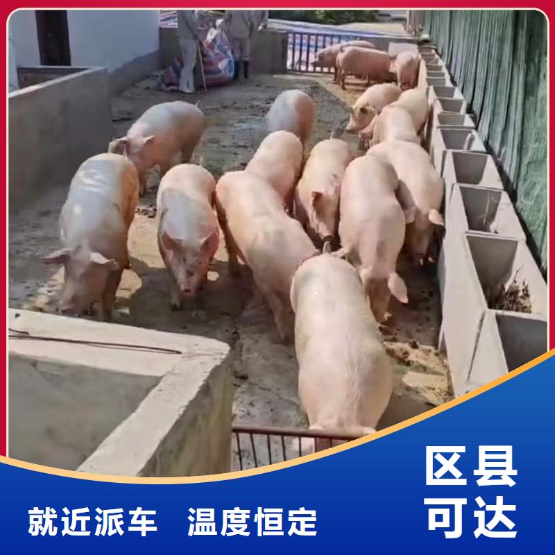 濮阳到连云港物流专线货运公司