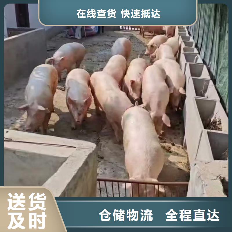 日照到铜仁物流专线货运公司