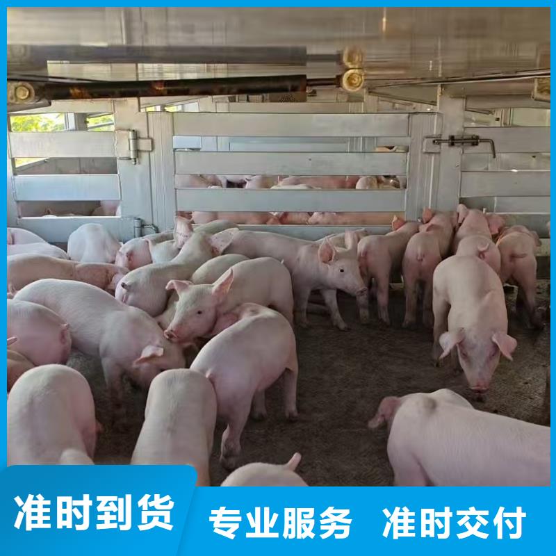 淮北到嘉兴物流专线货运公司