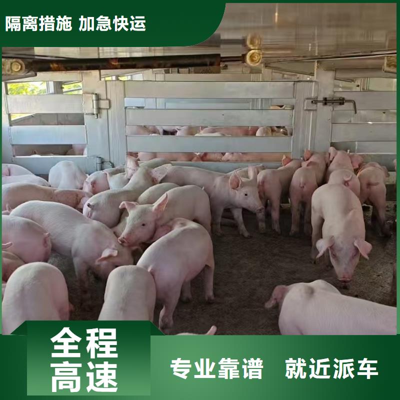 淮北到白银物流专线货运公司