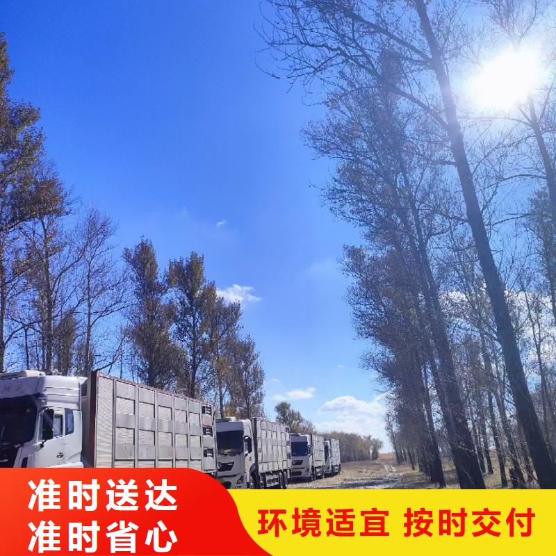 淮北到嘉兴物流专线货运公司