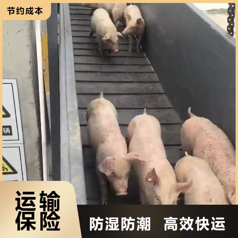 淮北到天水物流专线货运公司