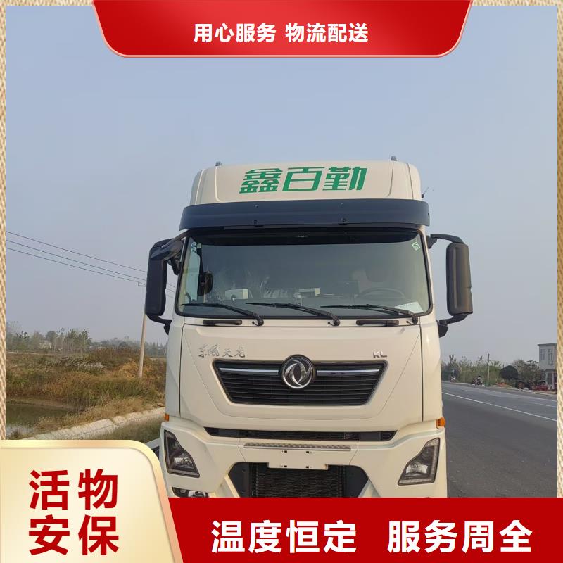 周口到株洲物流专线货运公司