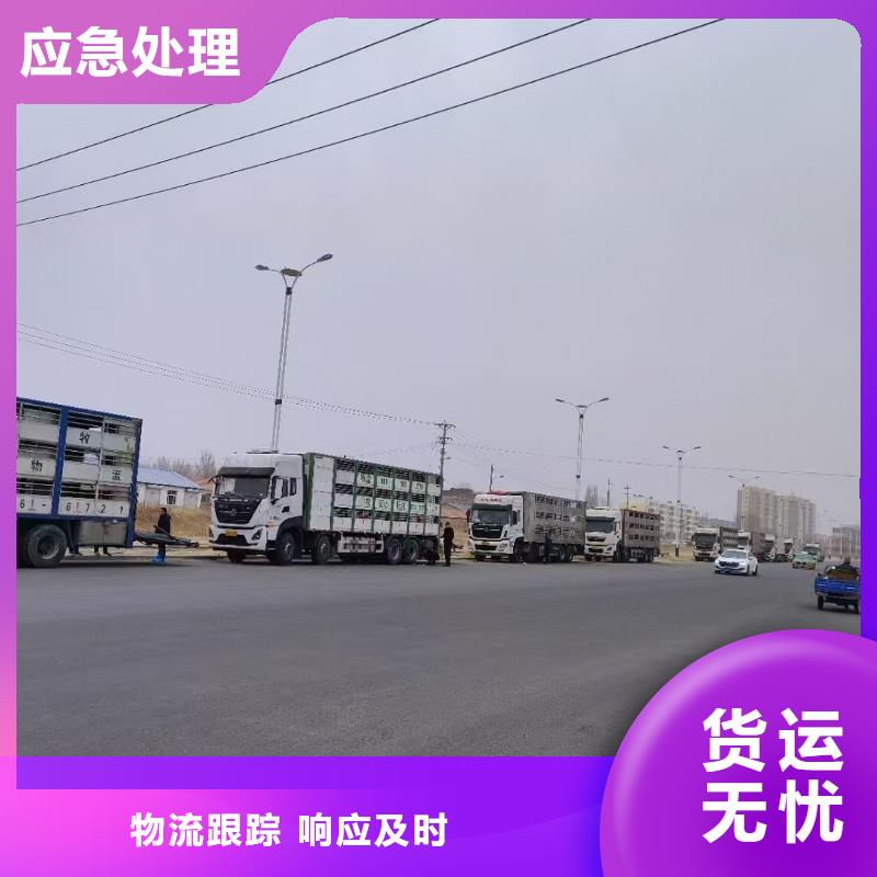 阜阳到铜仁物流专线货运公司