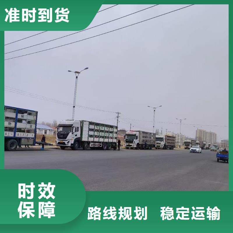 濮阳到韶关物流专线货运公司