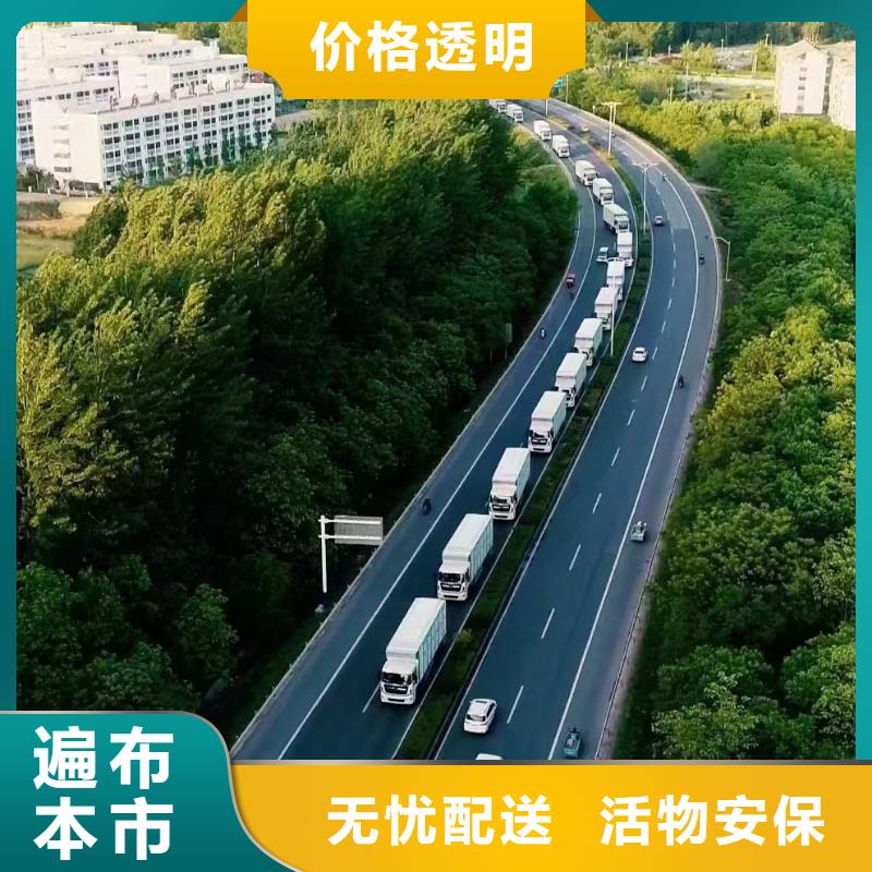 周口到郴州物流专线货运公司