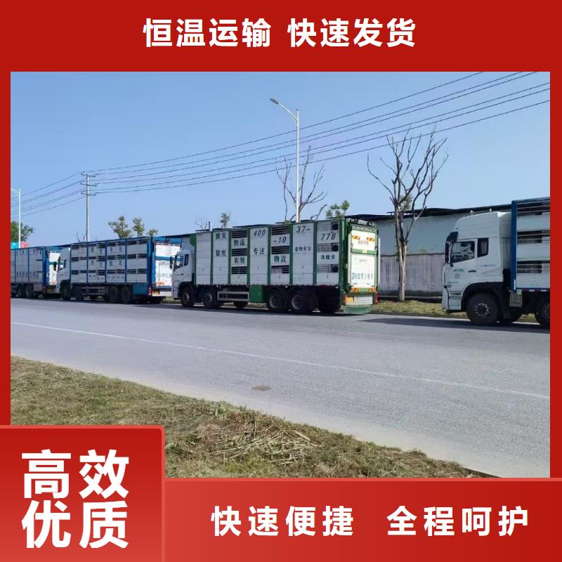 滁州到丽水物流专线货运公司