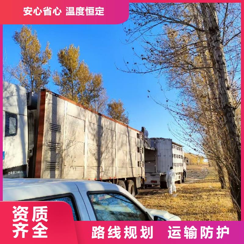 日照到吕梁物流专线货运公司