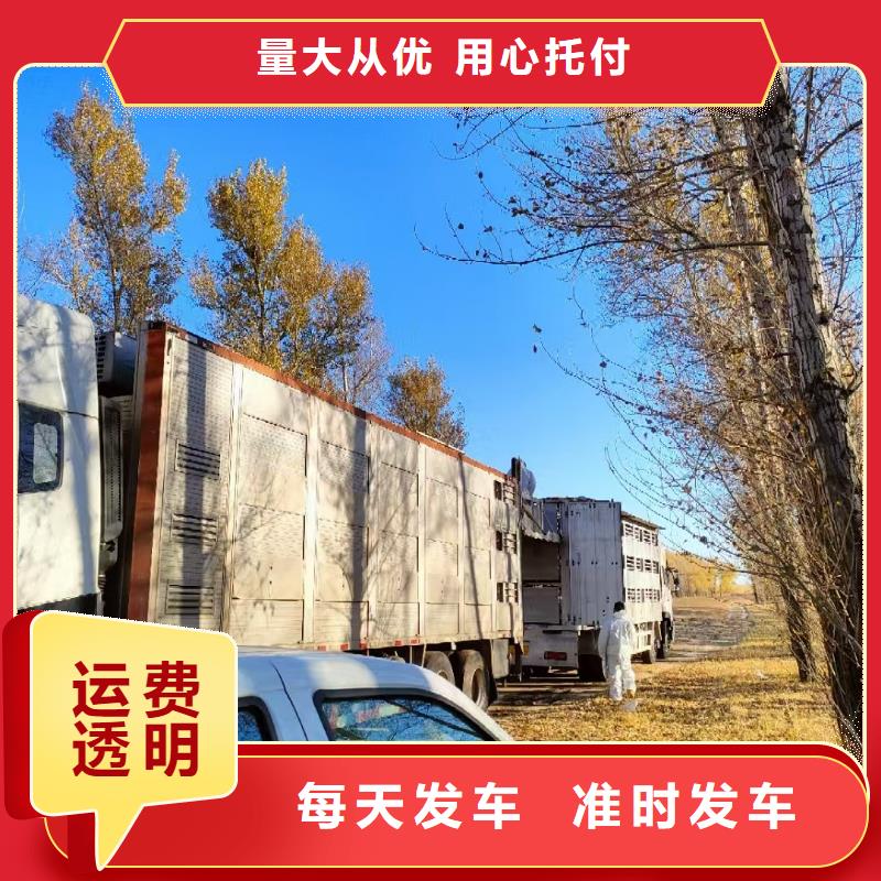 淮北到潍坊物流专线货运公司