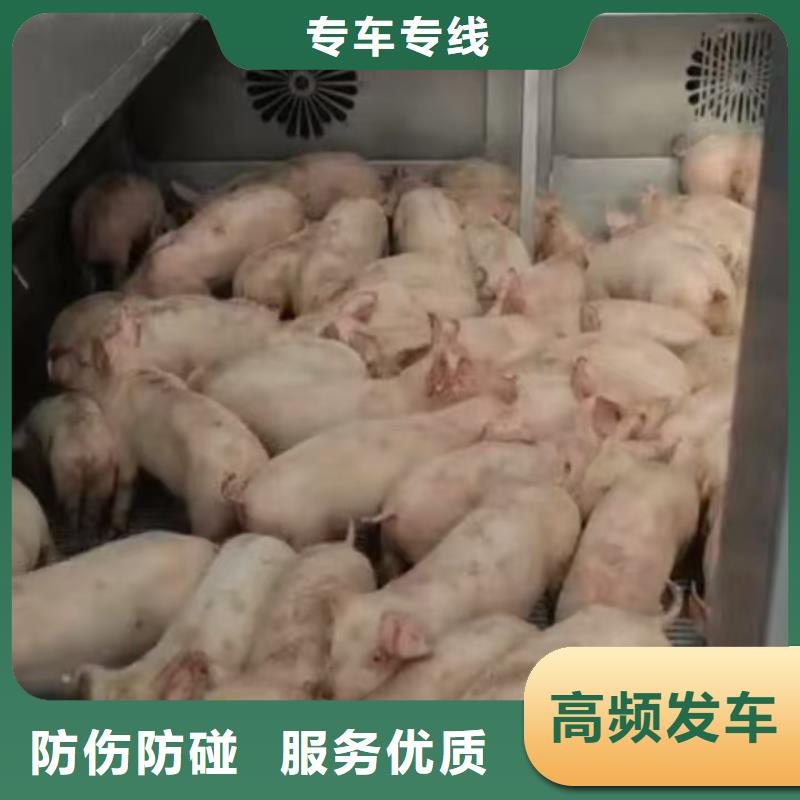 濮阳到锦州物流专线货运公司