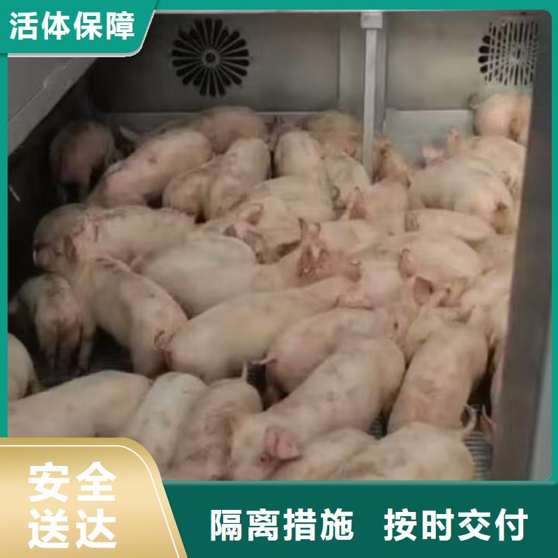 淮北到永州物流专线货运公司