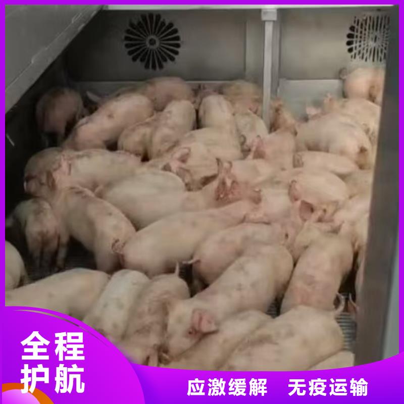 濮阳到菏泽物流专线货运公司