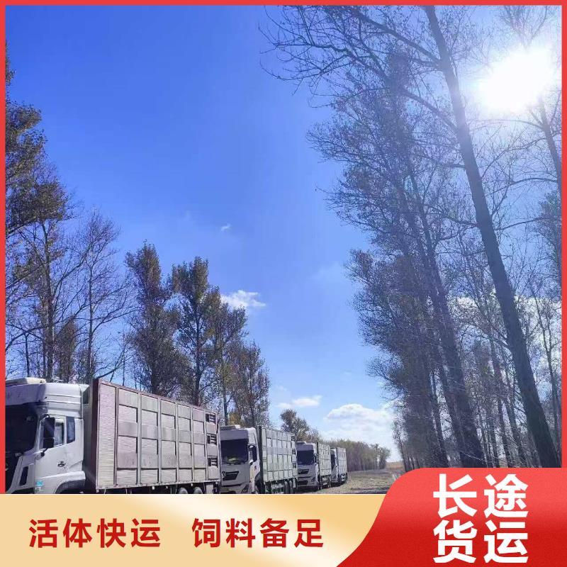 周口到河池物流专线货运公司