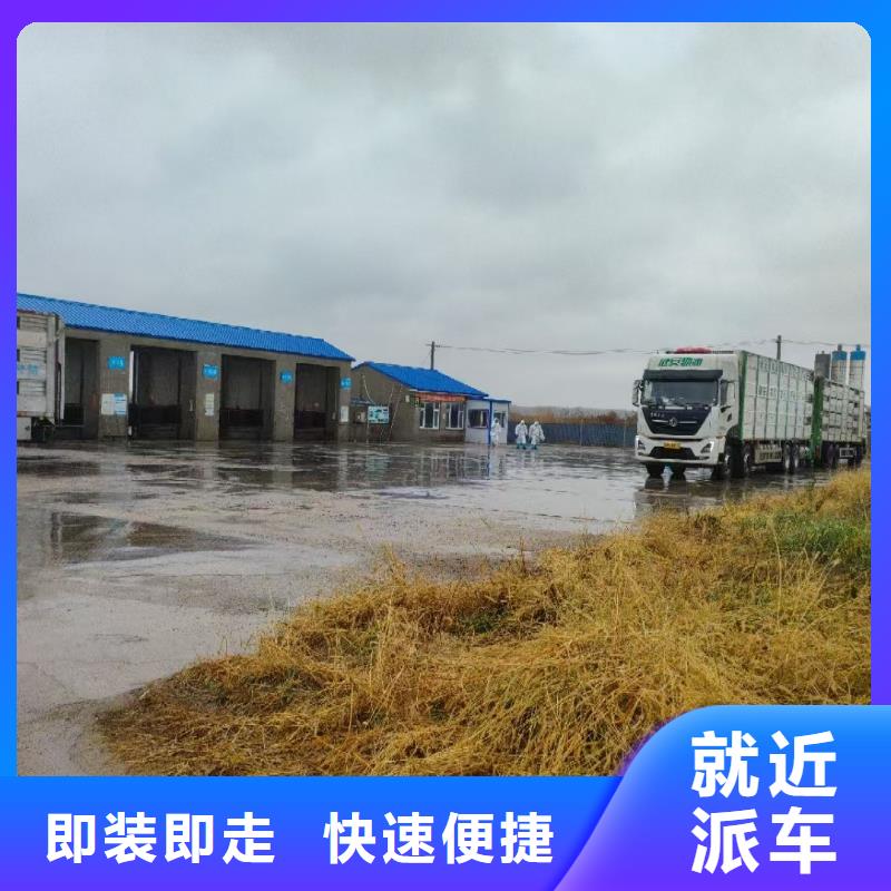 淮北到泸州物流专线货运公司