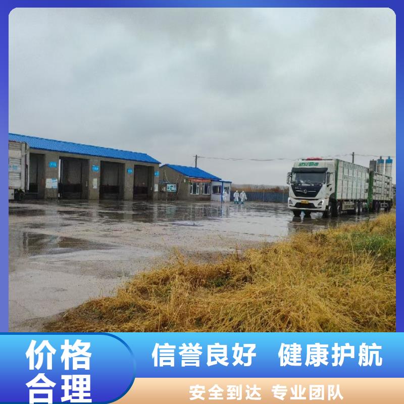 日照到河源物流专线货运公司