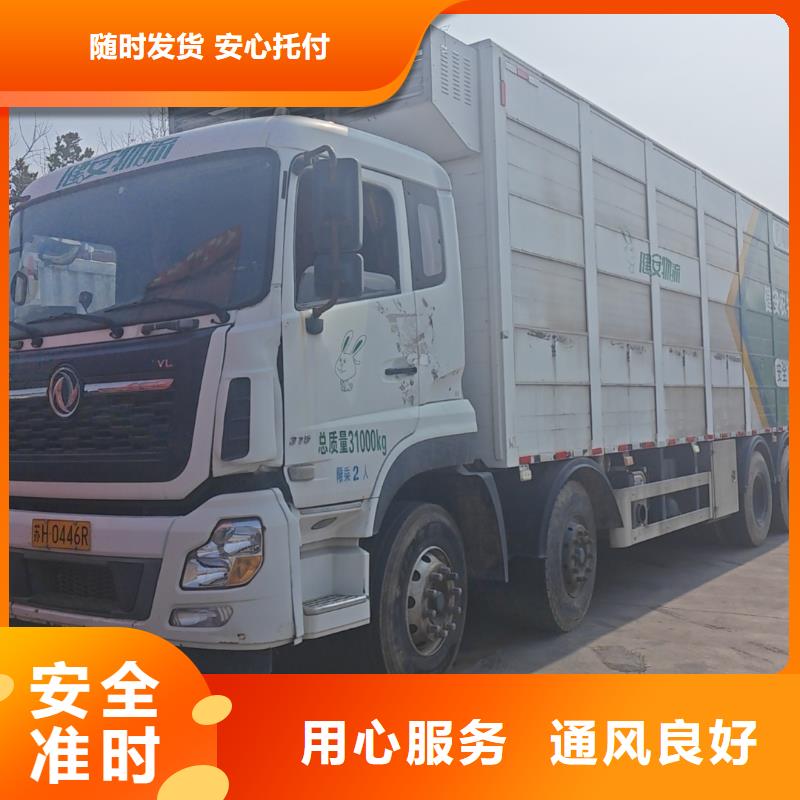 日照到兴安物流专线货运公司