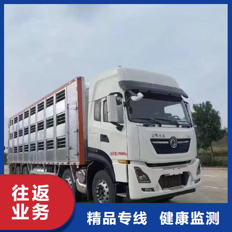 周口到韶关物流专线货运公司