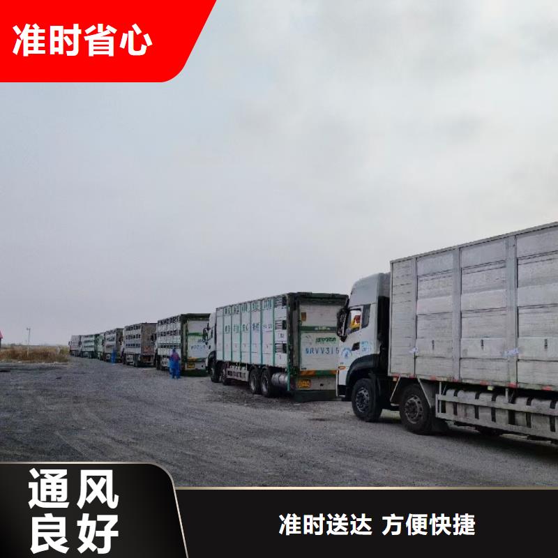 周口到赤峰物流专线货运公司